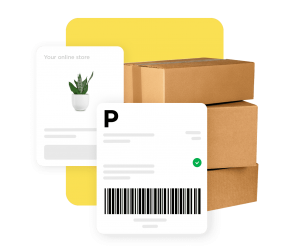 Tek bir yerden yönetin